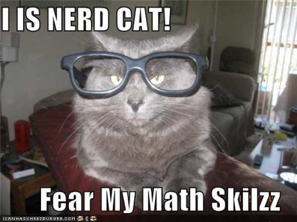 nerd-cat-e1339502400161.jpg